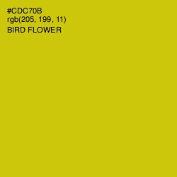 #CDC70B - Bird Flower Color Image